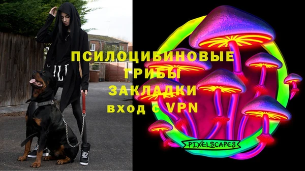 мяу мяу мука Алексин