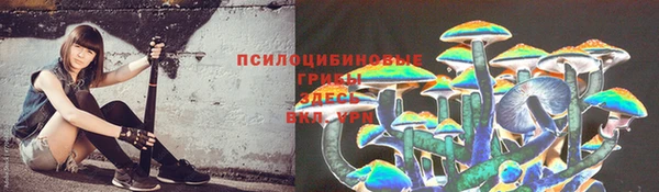 мяу мяу мука Алексин